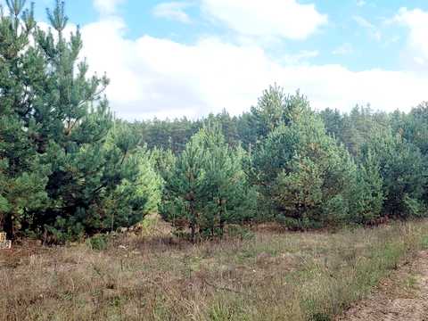 участок по адресу Ожоженка, 1