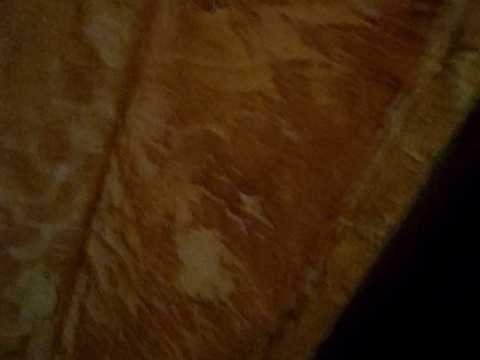 квартира за адресою Віталія Бохонка вул. (Чайковського), 22