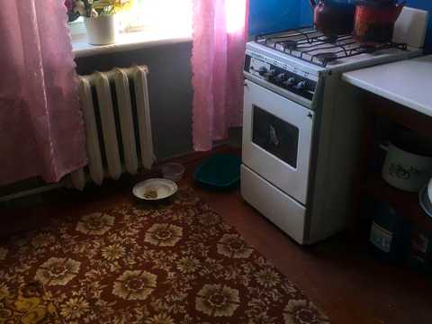 квартира по адресу Сергея Колачевского ул. (23 Лютого), 56