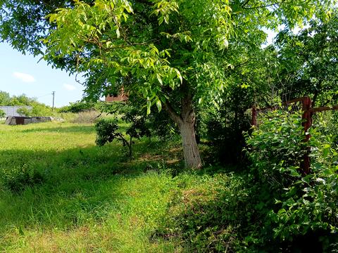 ділянка за адресою с. Кам'янопіль, Грушевського, 1