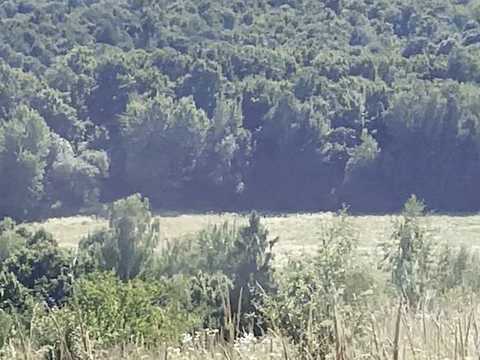 ділянка за адресою Щорса