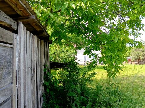 ділянка за адресою с. Кам'янопіль, Грушевського, 1
