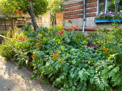 квартира по адресу Днепростроевская ул., 31