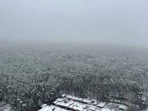 квартира за адресою Світла вул., 3-Д
