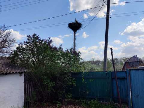 дом по адресу с. Балаклея, Добросусідська, 22