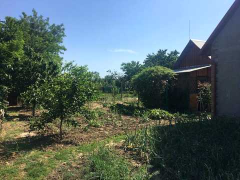 будинок за адресою с. Маяки, Преображенська