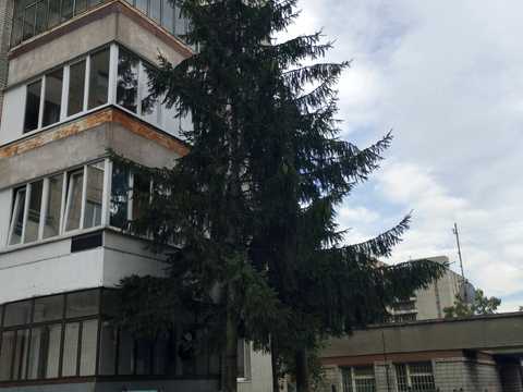 квартира по адресу Широкая ул., 1