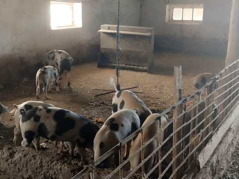 коммерческая по адресу Белгород-Днестровский, Белгород ул., 1