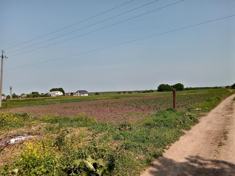 ділянка за адресою Нове село