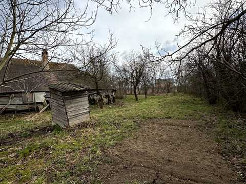 ділянка за адресою Панаса Мирного, 8