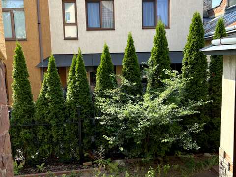 комерційна за адресою Іллі Мечникова вул., 75