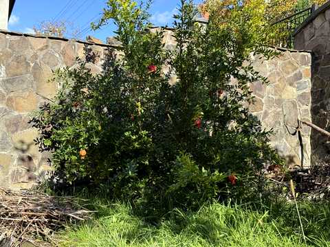 дом по адресу Михайловецкая ул., 17