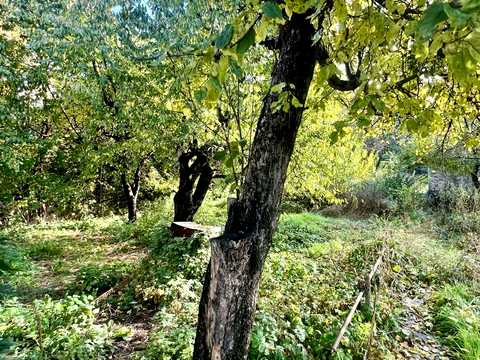 дом по адресу Прирічна вул.