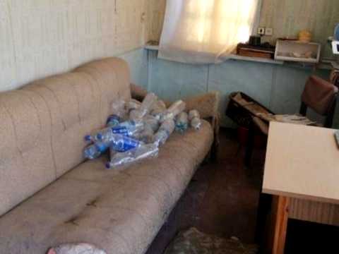дом по адресу 22 улица
