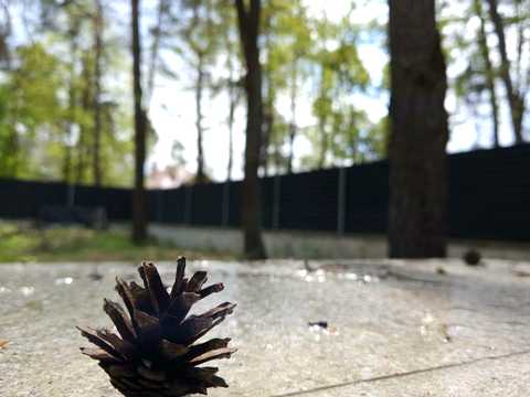 будинок за адресою Ряснянська вул., 16