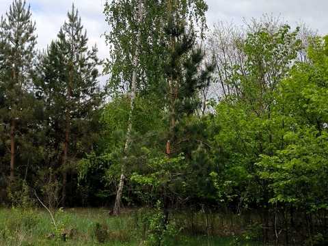 ділянка за адресою Підлісна вул.