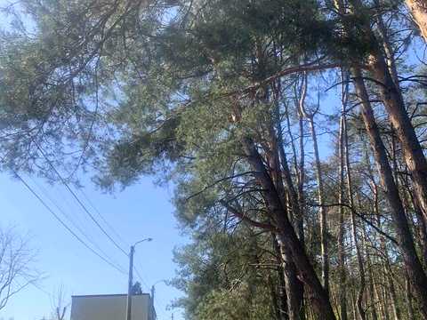 дом по адресу Північна ул.