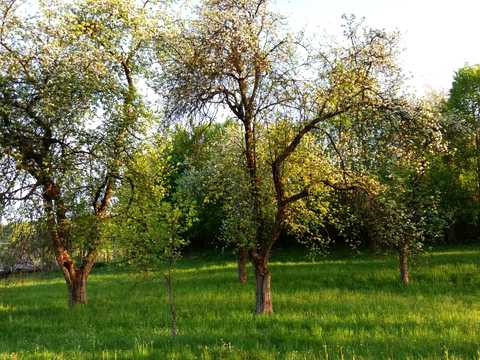 будинок за адресою с. Верхнє водяне, Гагаріна, 21