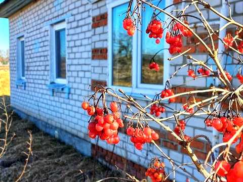 будинок за адресою Лесі українки, 26