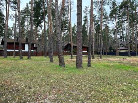 участок по адресу Сосновий Бір ул.