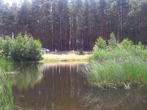 будинок за адресою Мирна