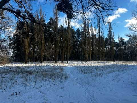 коммерческая по адресу Саноторна, 5