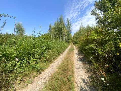 участок по адресу Центральна
