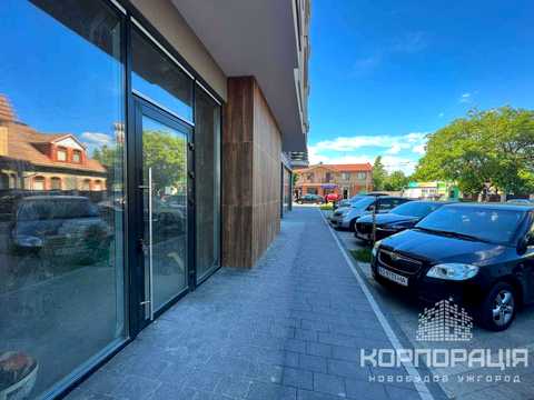 комерційна за адресою Марії Заньковецької вул., 33