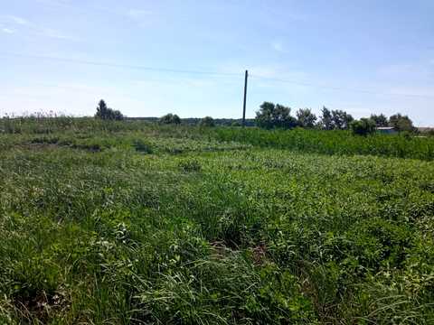 участок по адресу с. Гамалиевка, Гамаліївка