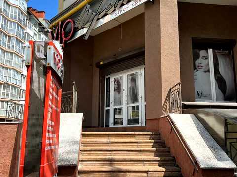 комерційна за адресою Володимира Великого вул., 10