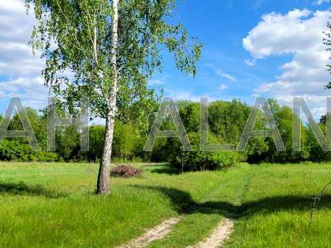 ділянка за адресою лісна