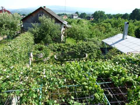будинок за адресою Польова