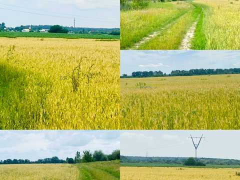 ділянка за адресою