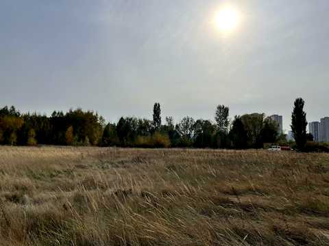 участок по адресу с. Погребы, 