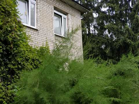 комерційна за адресою Индустриальный проспект, 9 А