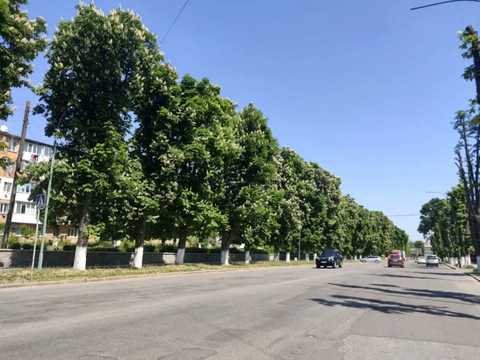 квартира за адресою Столярчука вул., 48