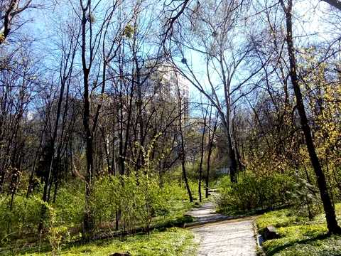квартира за адресою Івана Мазепи вул. (Січневого Повстання), 3