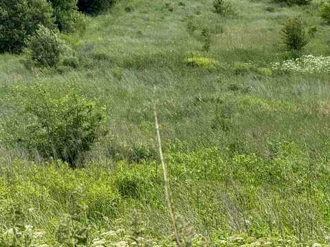 ділянка за адресою с. Сокільники, Авіаційна