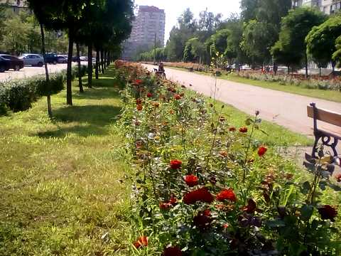 квартира по адресу Бульвар Труда, 8
