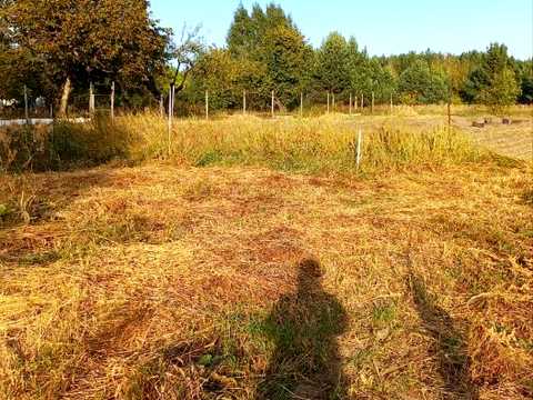 участок по адресу Панаса Мирного, 53