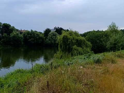 ділянка за адресою Котова, 20
