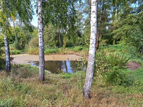 ділянка за адресою Миру просп.
