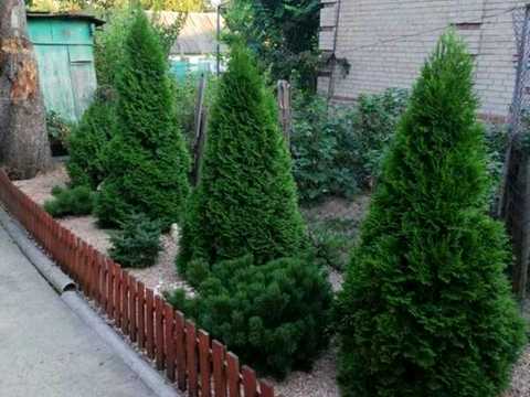 будинок за адресою Запоріжжя, Інженера Лата вул.
