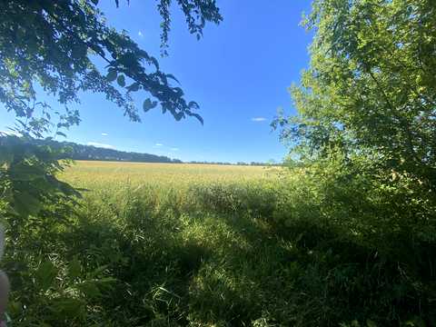 ділянка за адресою с. Якушинці, 