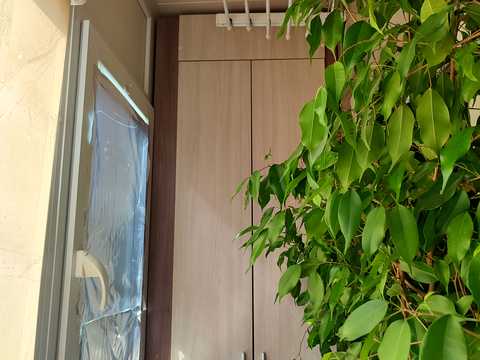квартира за адресою Космонавтів вул., 6