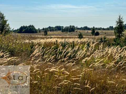 ділянка за адресою смт. Седнів, Шевченка вул., 98
