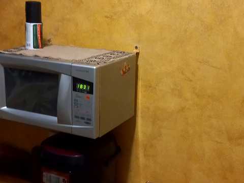 квартира по адресу Холодноярської Бригади ул. (Сумсько-Київських Дивізій), 19
