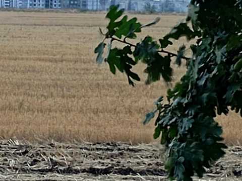 участок по адресу Академика Сахарова ул.