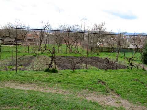 дом по адресу Філарета Колесси ул., 8/1