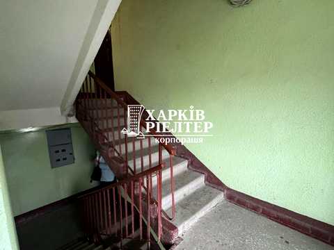 квартира по адресу Плиточная ул., 19
